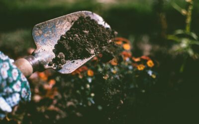Soil preparation